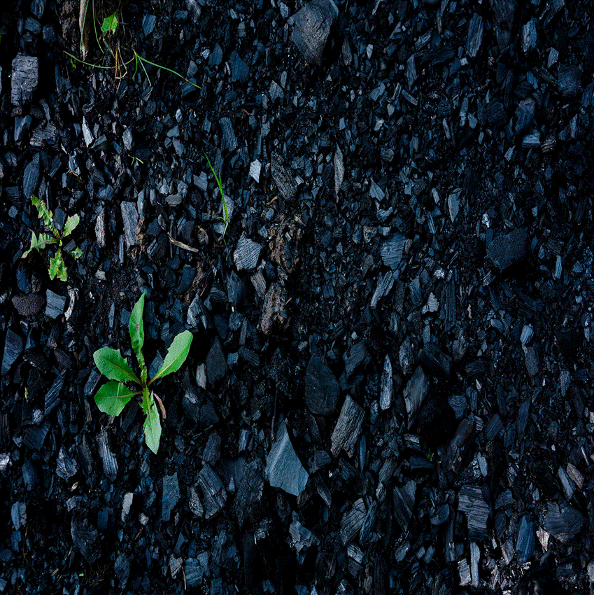 Slide6.GIF