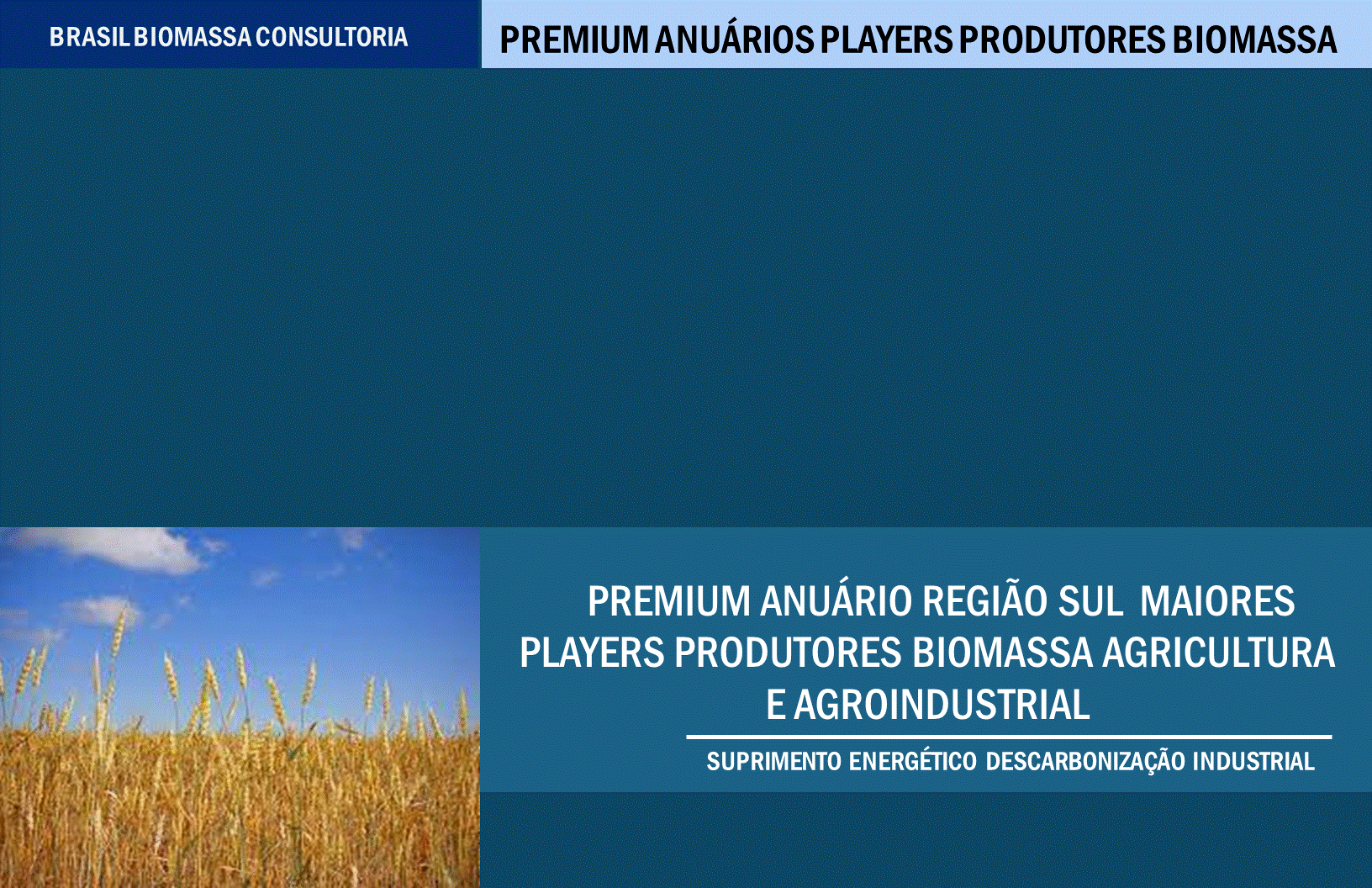 Anuario Premium Players Produtores Biomassa Agroindustrial  Região Sul.gif