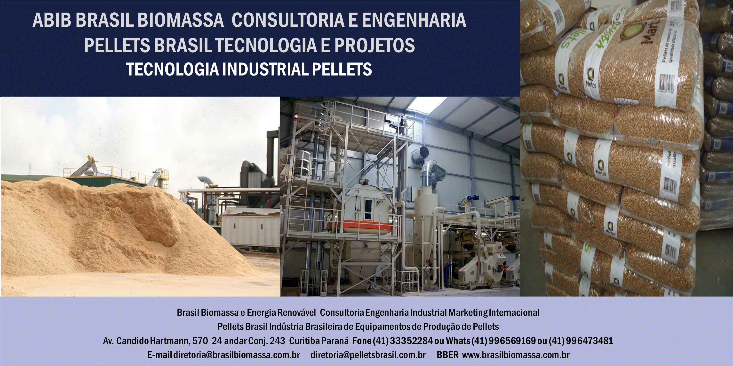 2020 Brasil Biomassa Soluções Energética