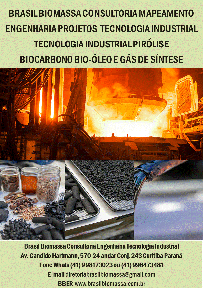 Brasil Biomassa Biocarbono.gif