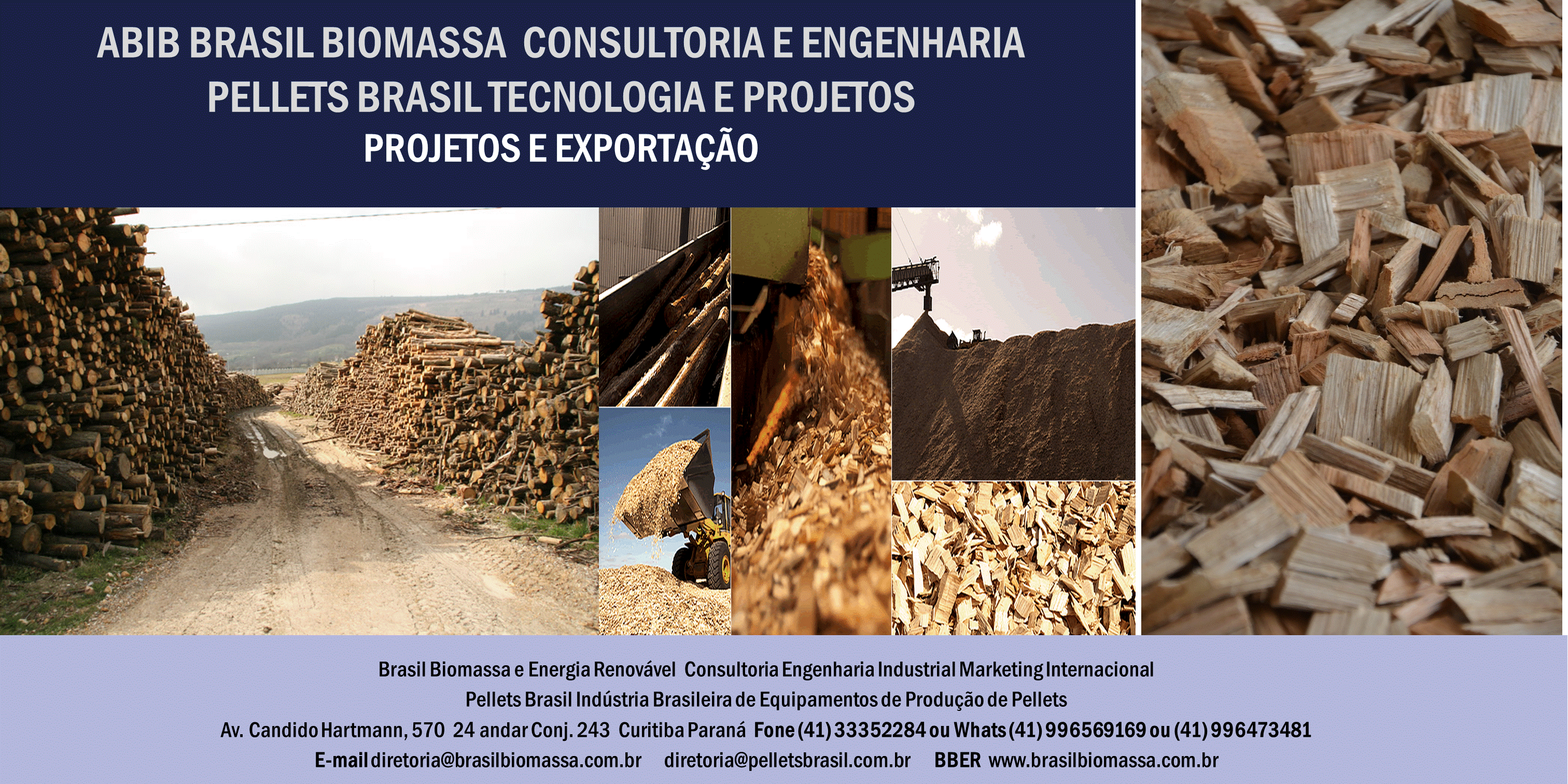 2020 Brasil Biomassa Soluções Energética