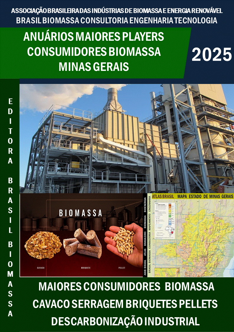 2025 Anuário Consumidores Biomassa Região  Sudeste Minas Gerais.gif