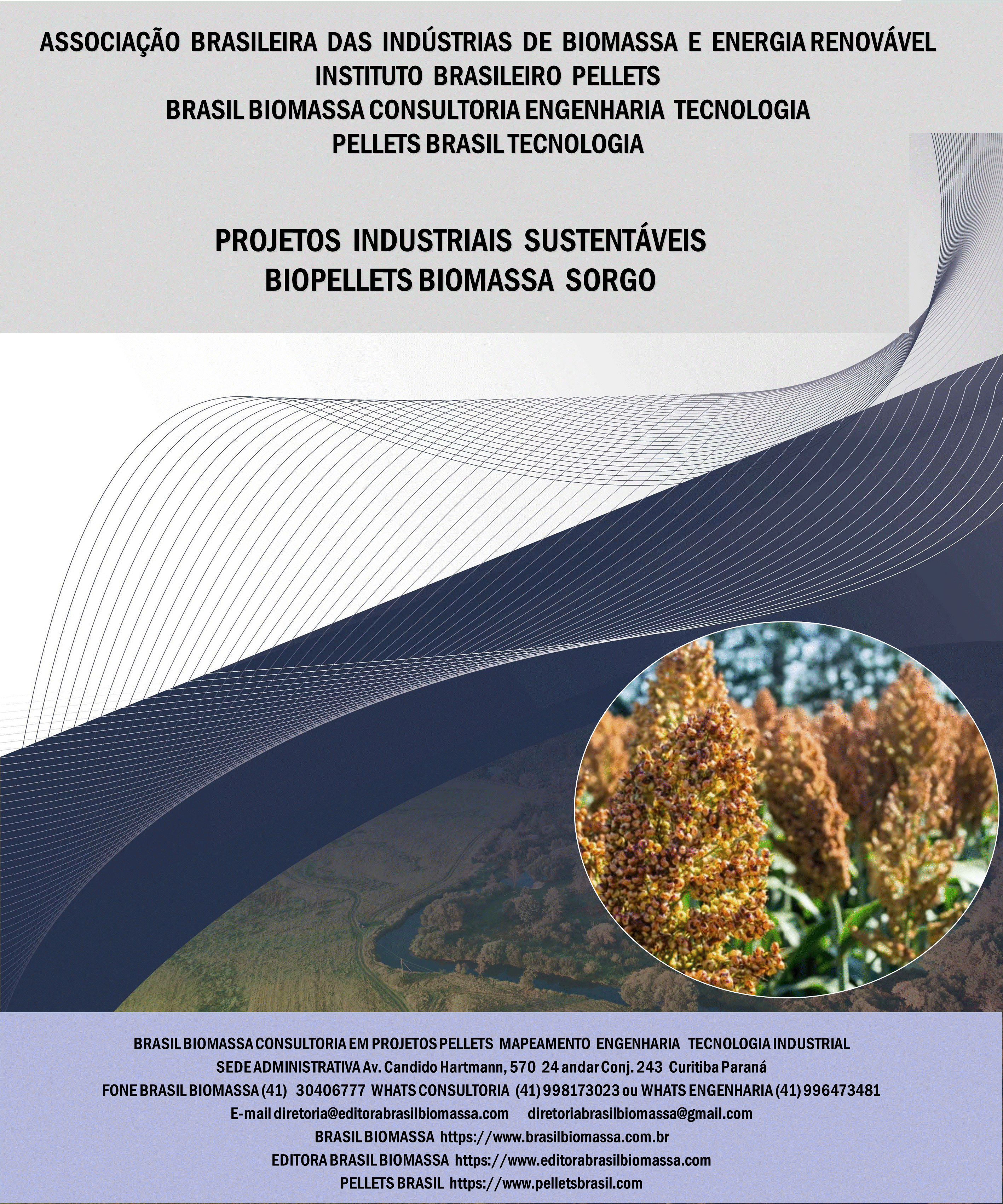 Brasil Biomassa BioPellets Sorgo.gif