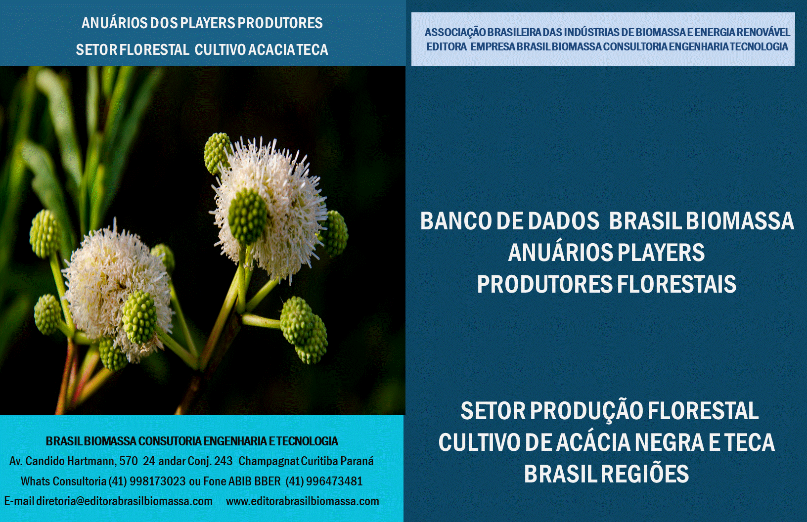 Anuarios Produtores Florestais Cultivo Acacia Hegra e Teca.gif
