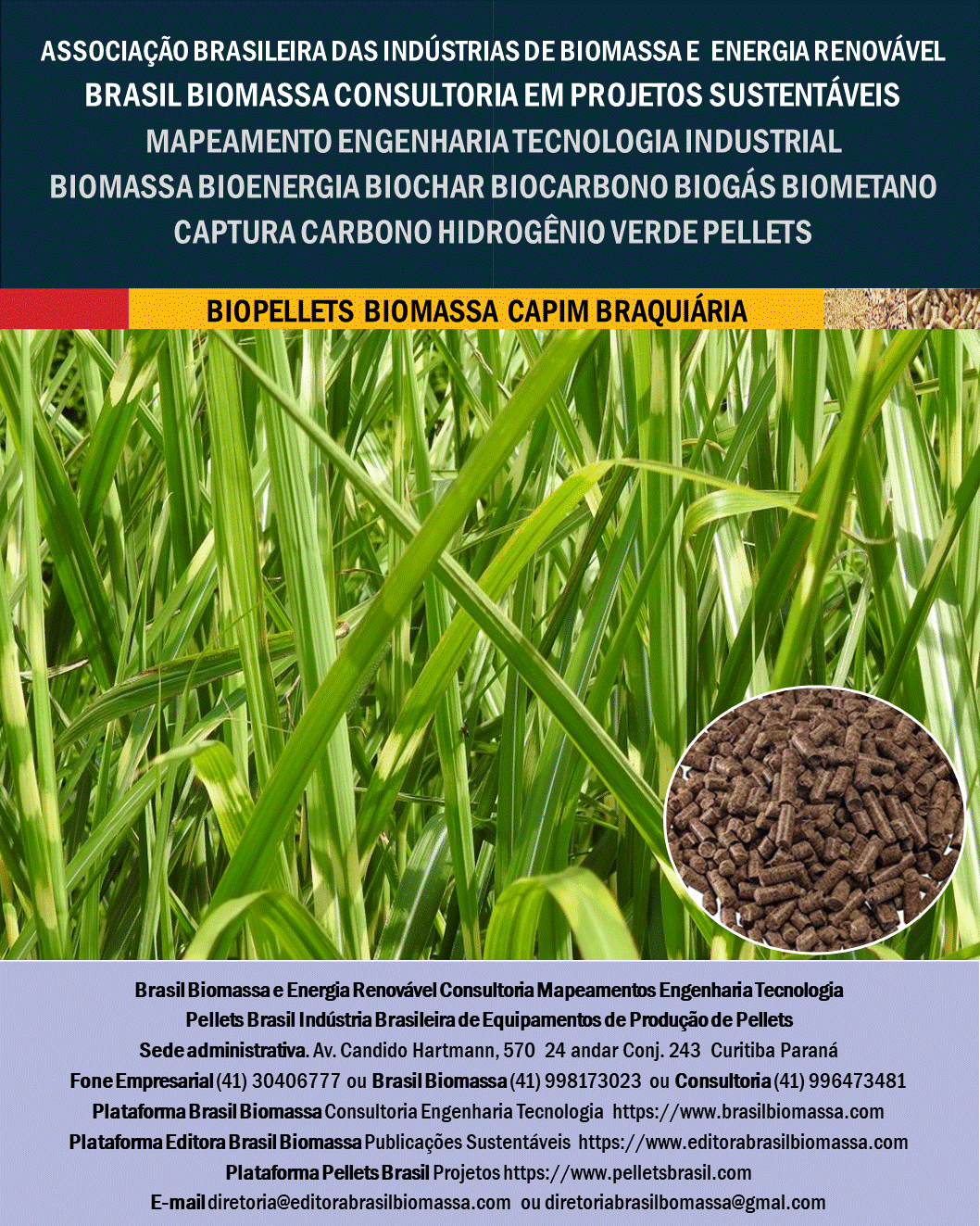 Biopellets Capim Braquiaria.gif