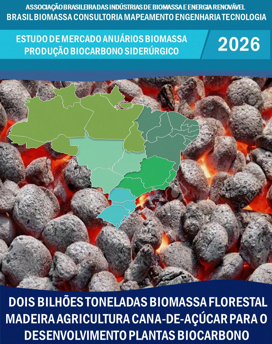 Estudo de Mercado de Mapeamento Biomassa Brasil Biocarbono.gif