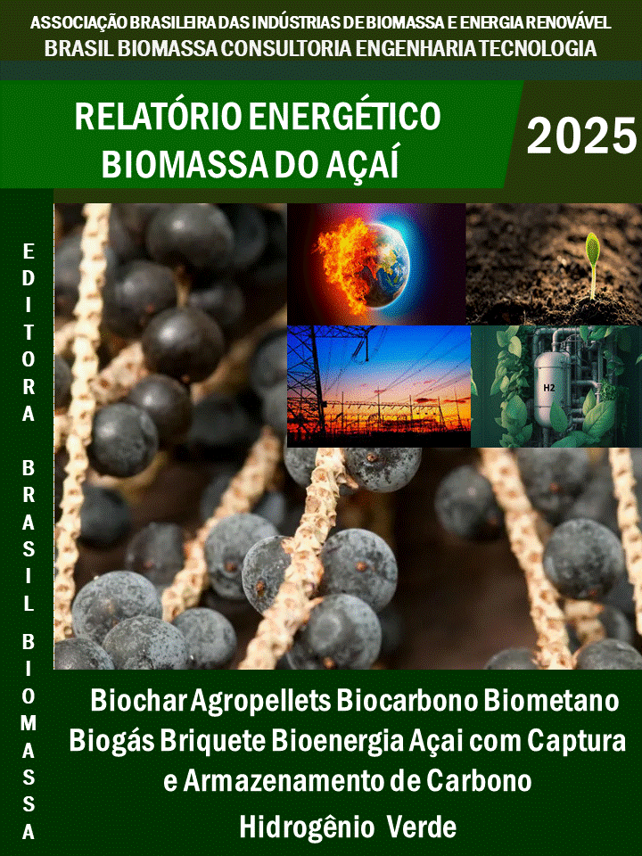 Relatório Energético Biomassa Açaí .gif