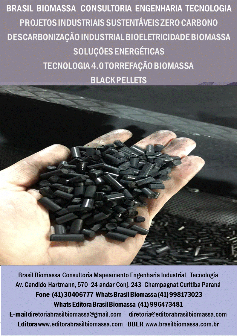 Brasil Biomassa Consultoria Mapeamento Engenharia Tecnologia Torrefação.gif