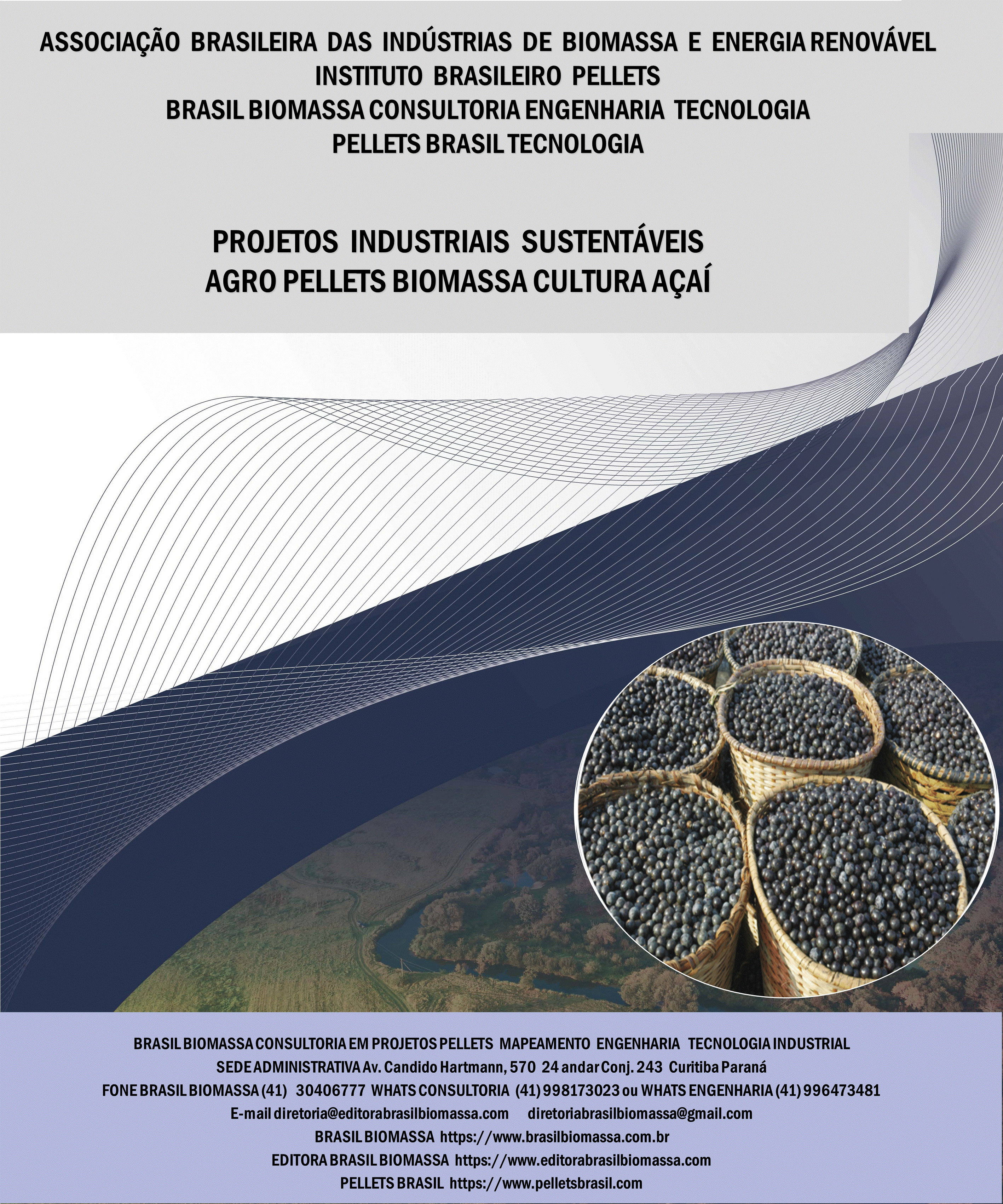 Brasil Biomassa AgroPellets Biomassa Açai.gif