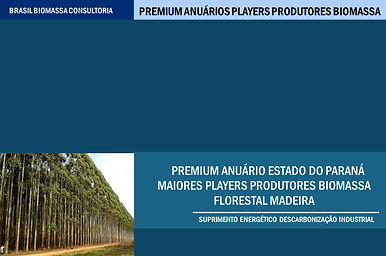Anuario Premium Players Produtores Biomassa Sul Parana.jpg