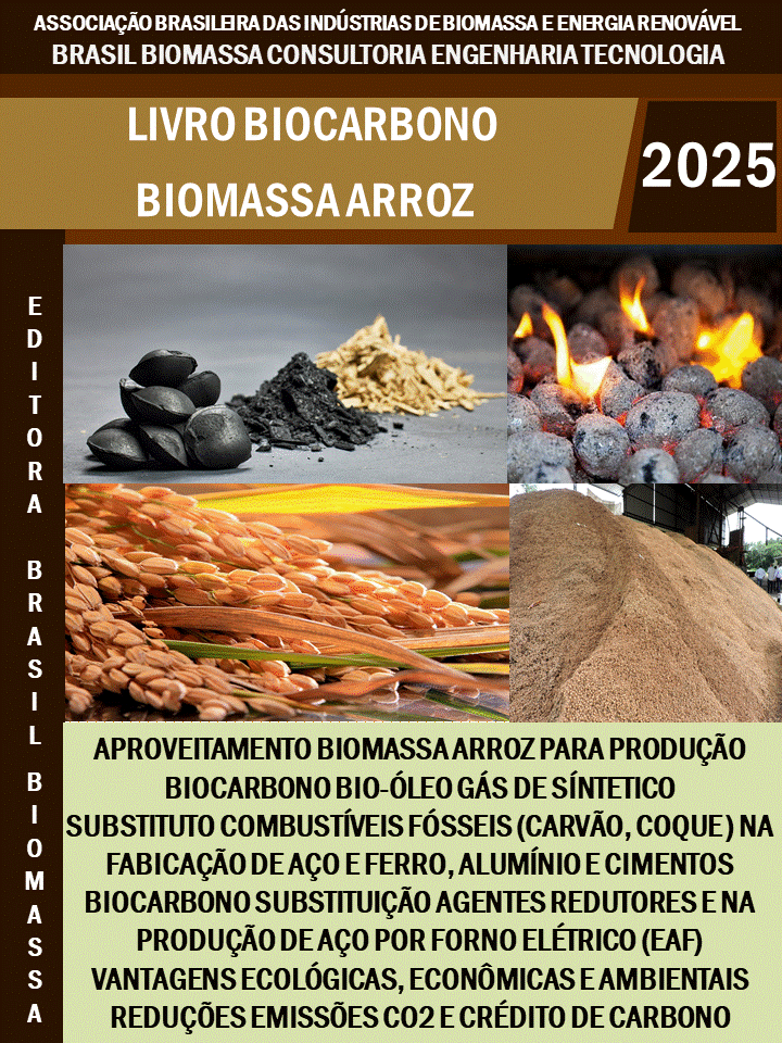 Livro Biocarbono Biomassa Arroz.gif