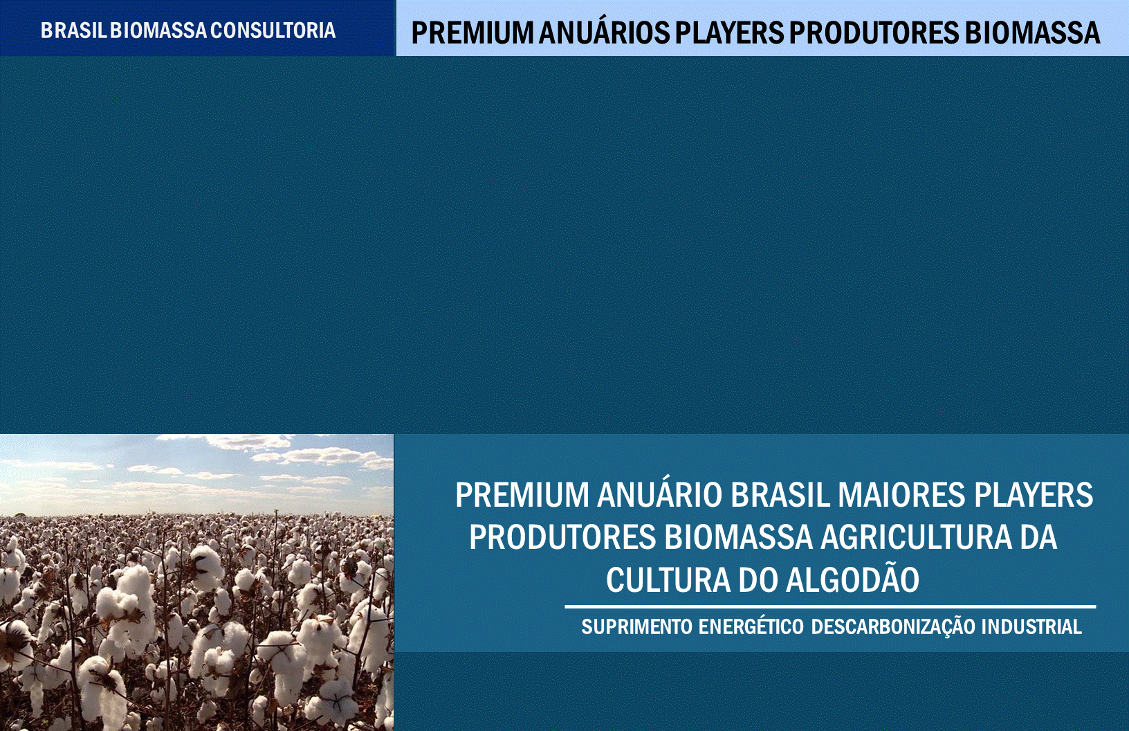 Anuario Premium Players Produtores Biomassa Agricultura Cultura do Algodão.gif