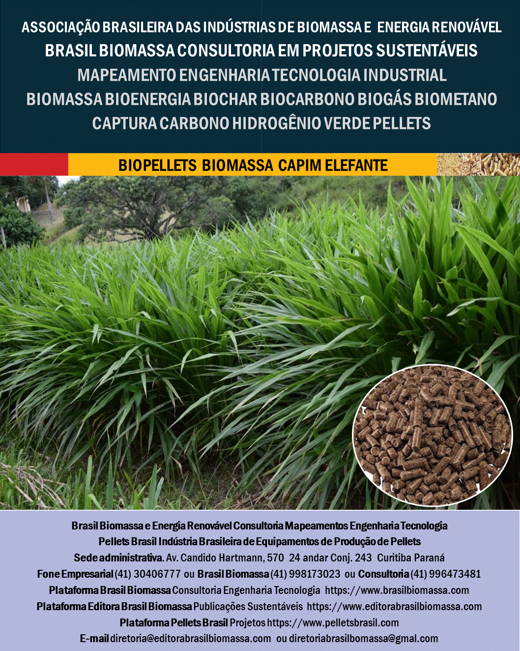 Biopellets Capim Elefante.gif