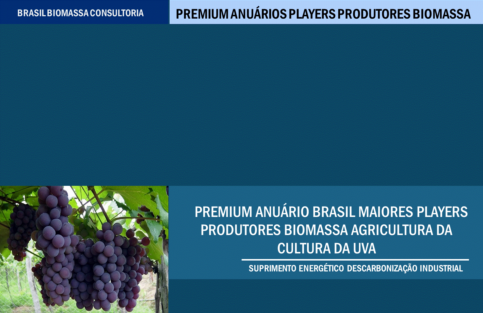 Anuario Premium Players Produtores Biomassa Agricultura Cultura da Uva.gif