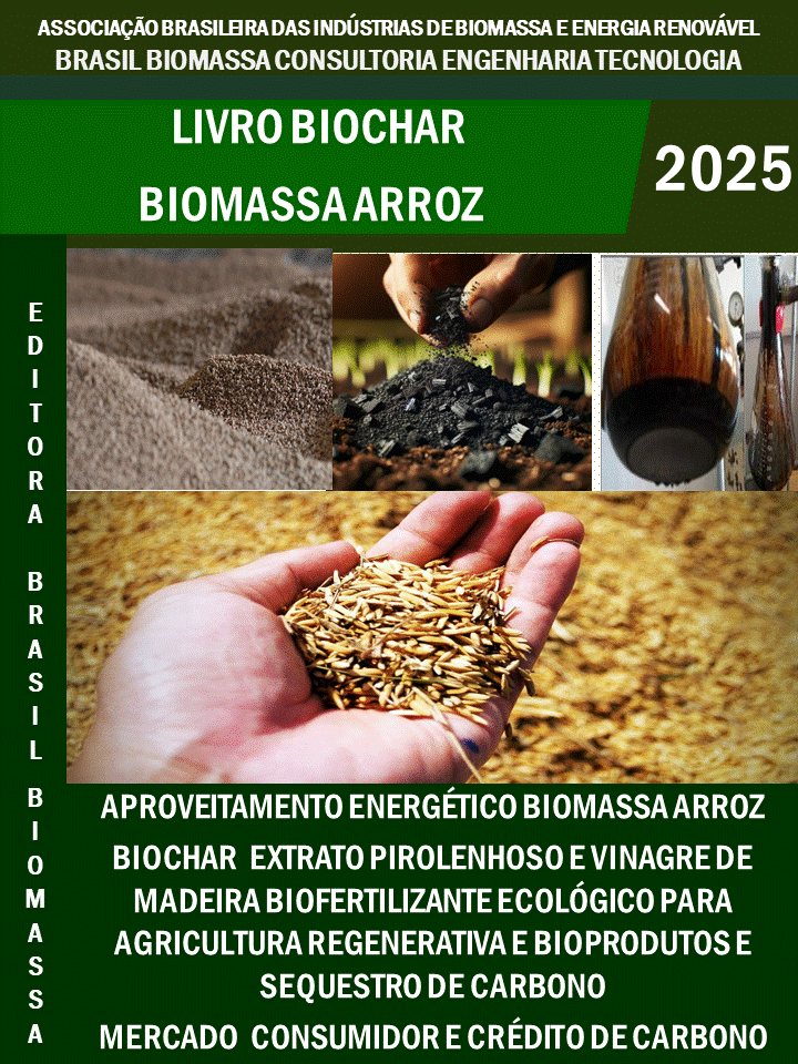 Livro Biochar Biomassa Arroz.gif