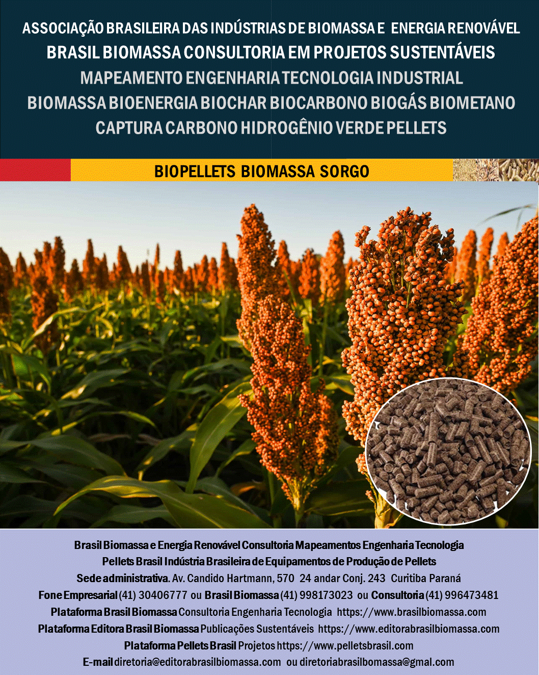 Biopellets Sorgo.gif