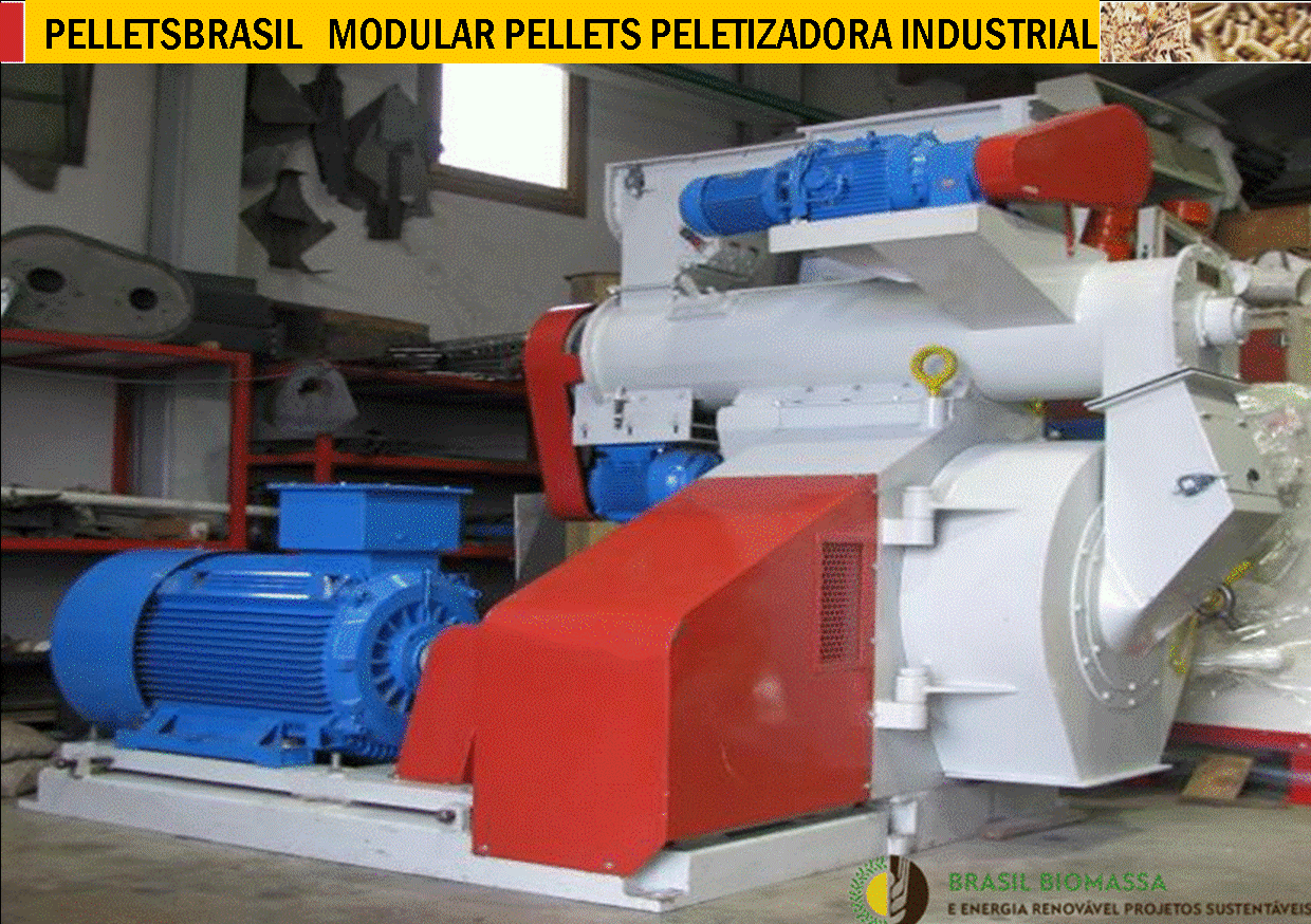 PELETIZADORA