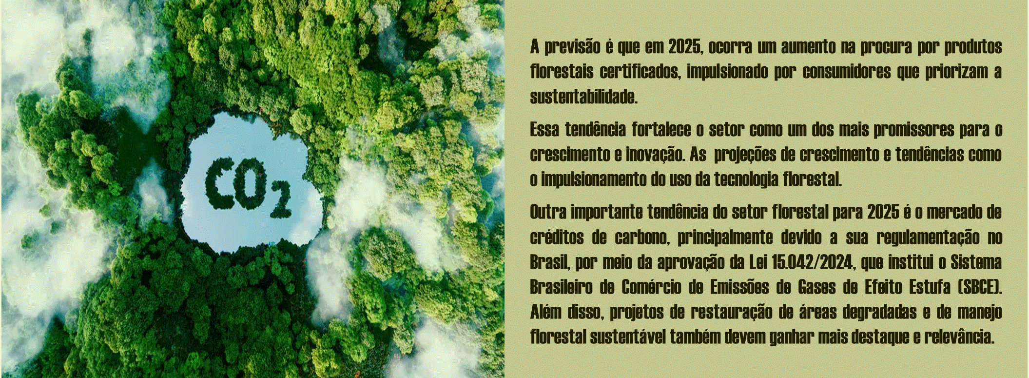 Slide4.GIF