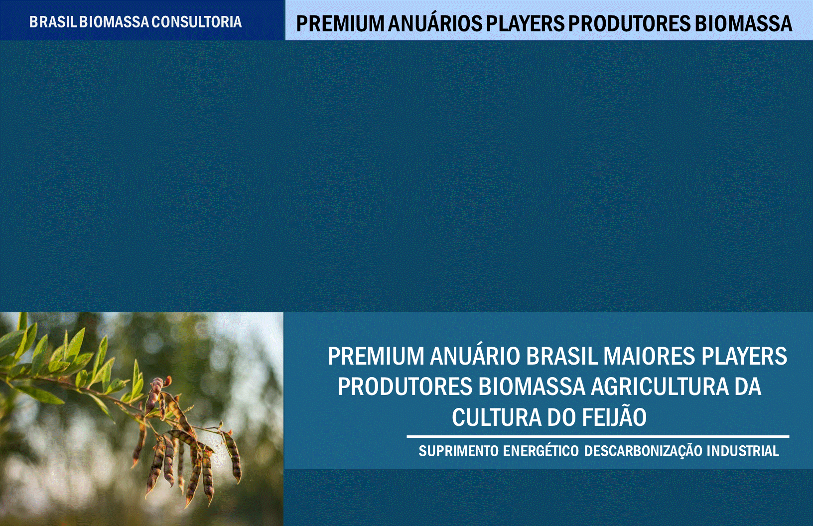 Anuario Premium Players Produtores Biomassa Agricultura Cultura do Feijão.gif