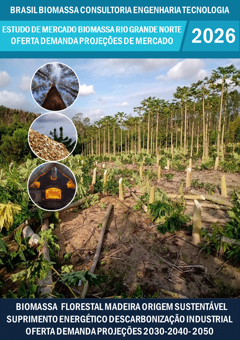 Estudo de Mercado Biomassa Florestal e da Madeira Oferta Demanda Nordeste Rio Grande Norte