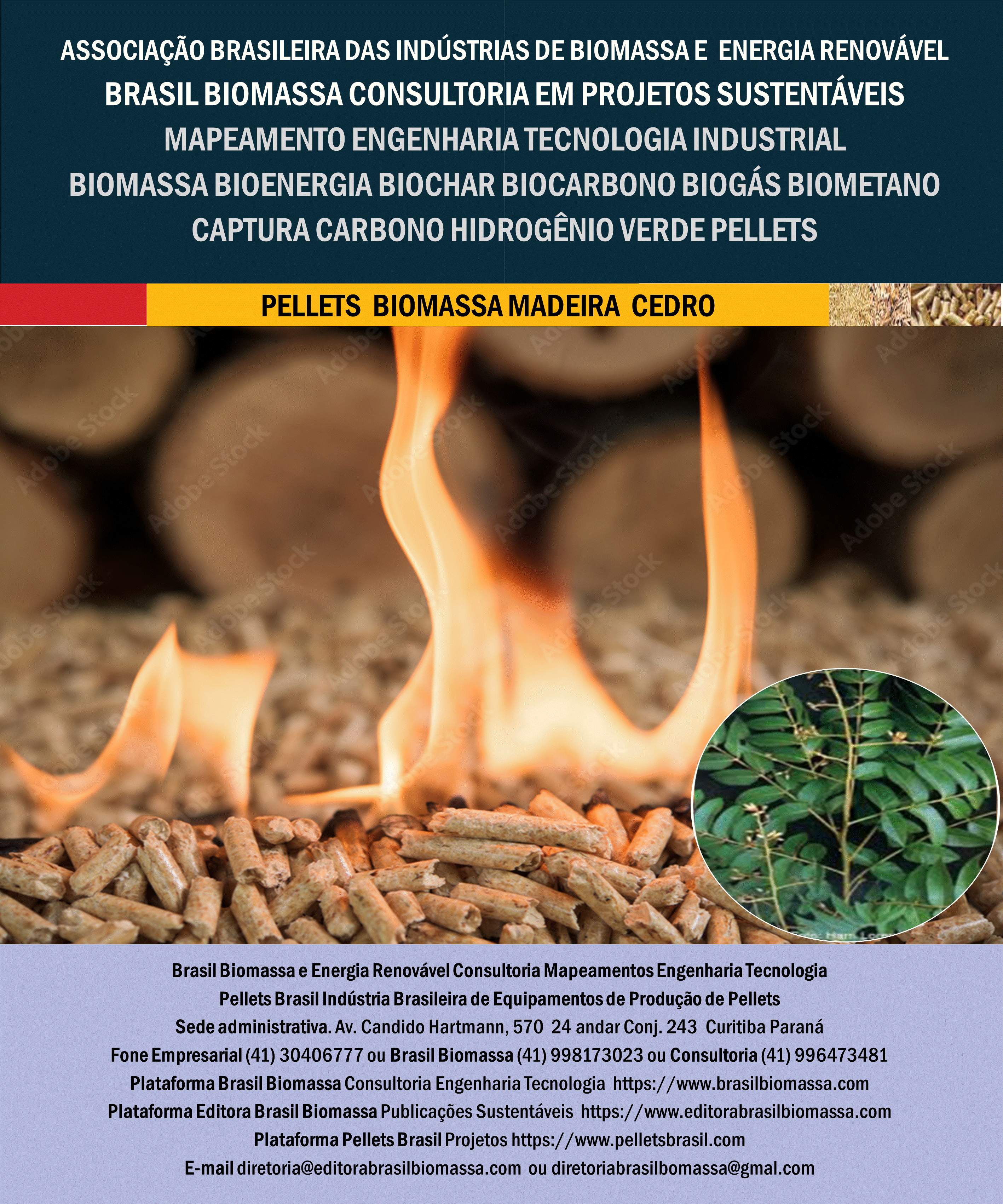 Brasil Biomassa Pellets Madeira Cedro.gif