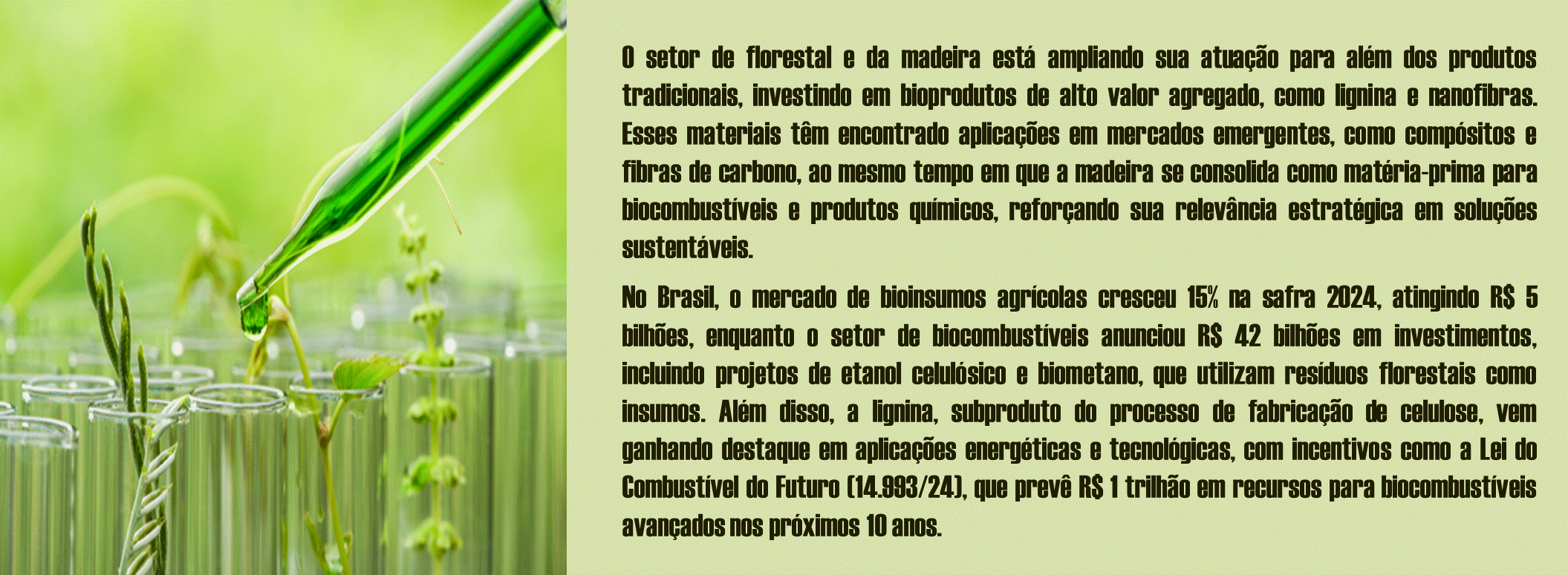Biomassa Brasil Florestal Agricultura Cana News 4.gif