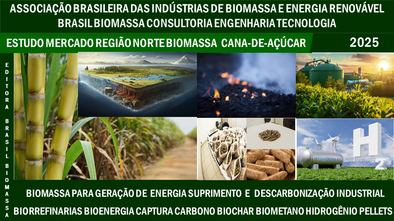 Estudo Brasileiro Biomassa Cana-de-açúcar Região Norte.gif