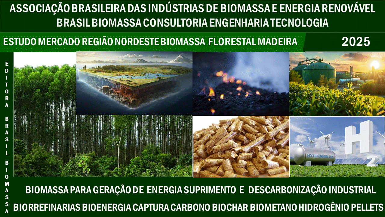 Estudo Brasileiro Biomassa Florestal e Madeira Região Nordeste.gif
