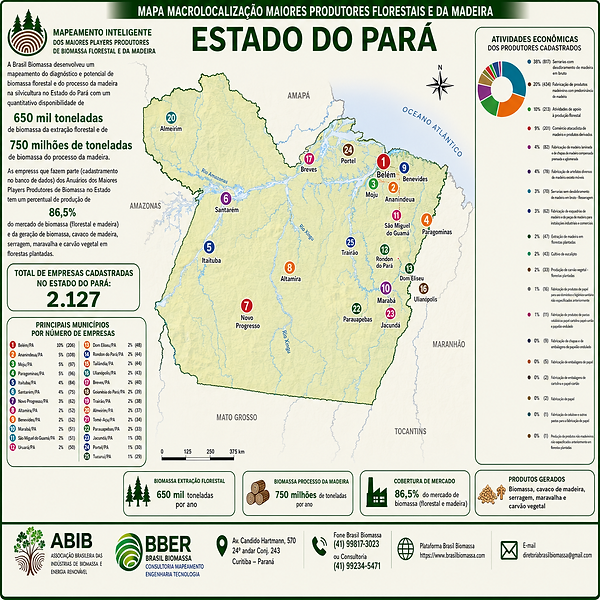 2026 Anuario Premium Players Produtores Biomassa Para.png