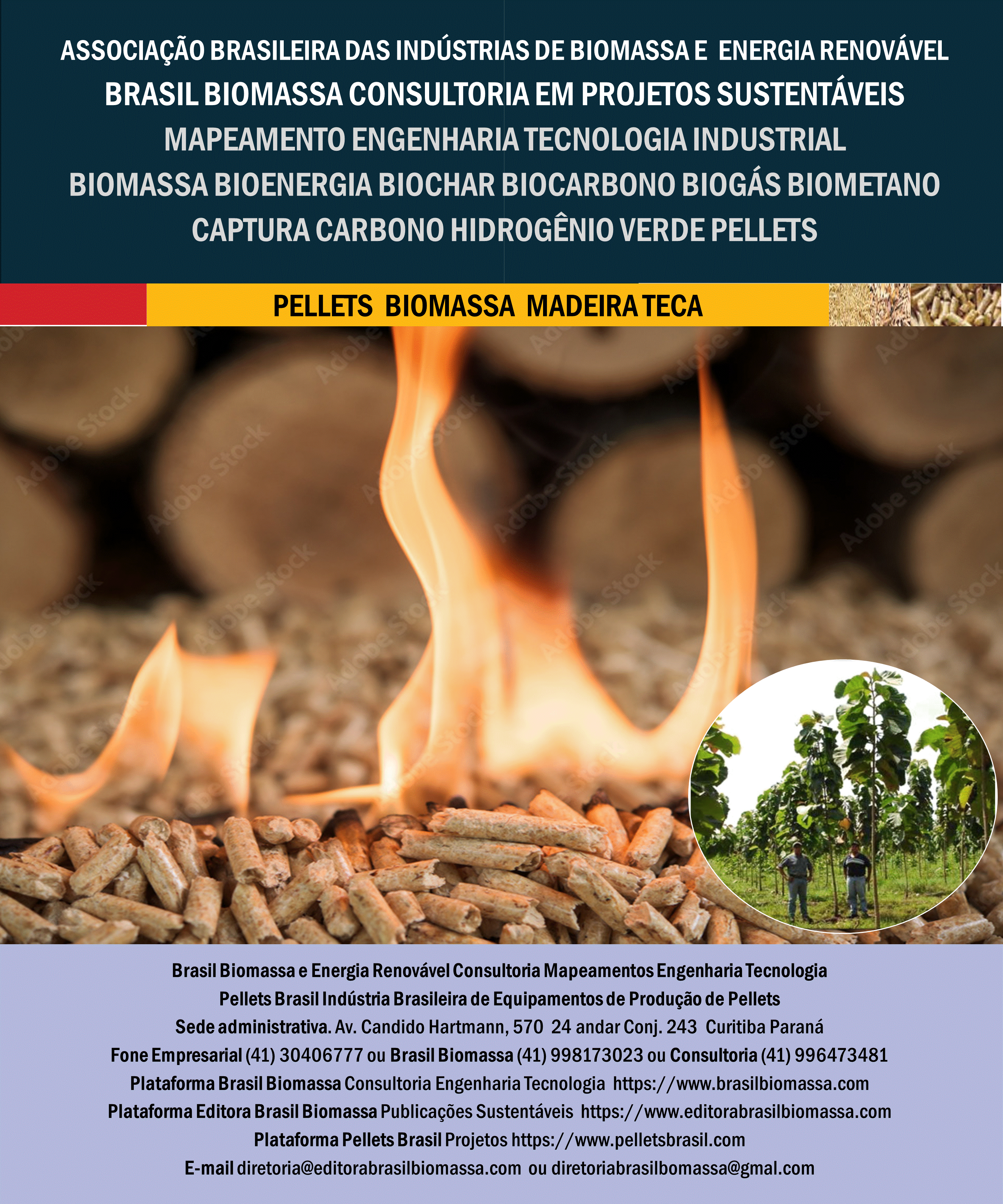 Brasil Biomassa Pellets Madeira Teca.gif