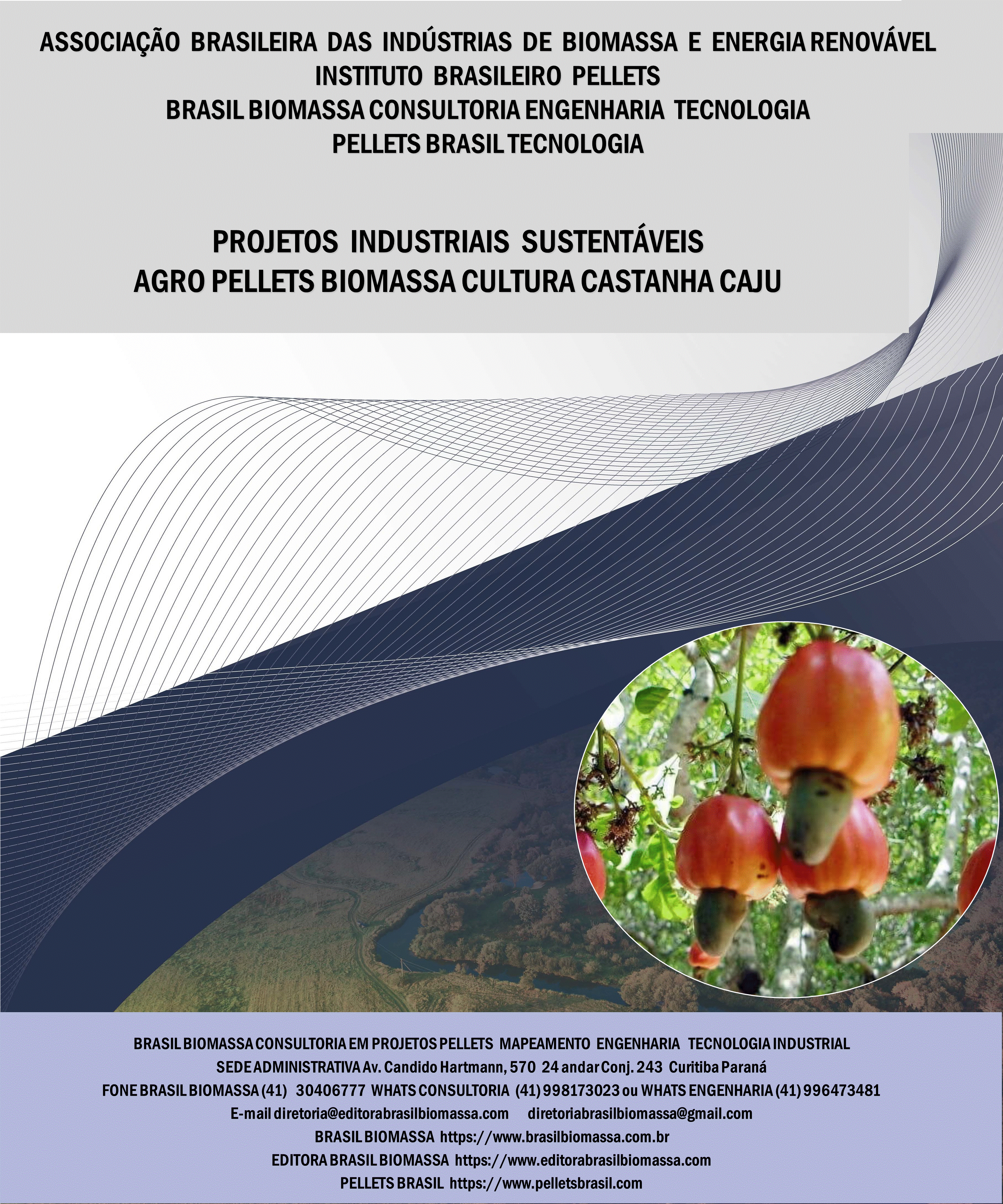 Brasil Biomassa AgroPellets Biomassa Castanha Cajú.gif