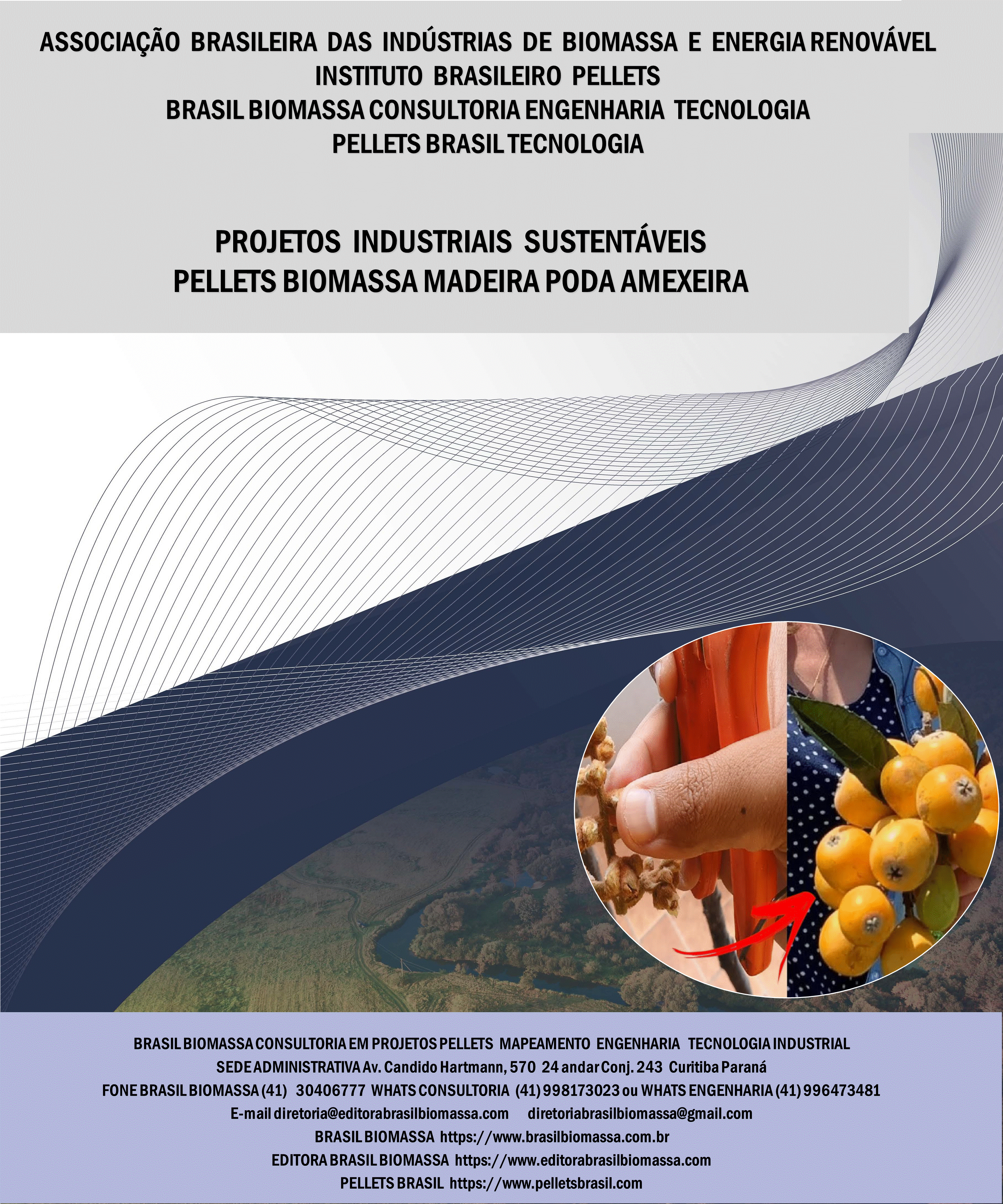 Brasil Biomassa Pellets Madeira Poda Ameixeira.gif