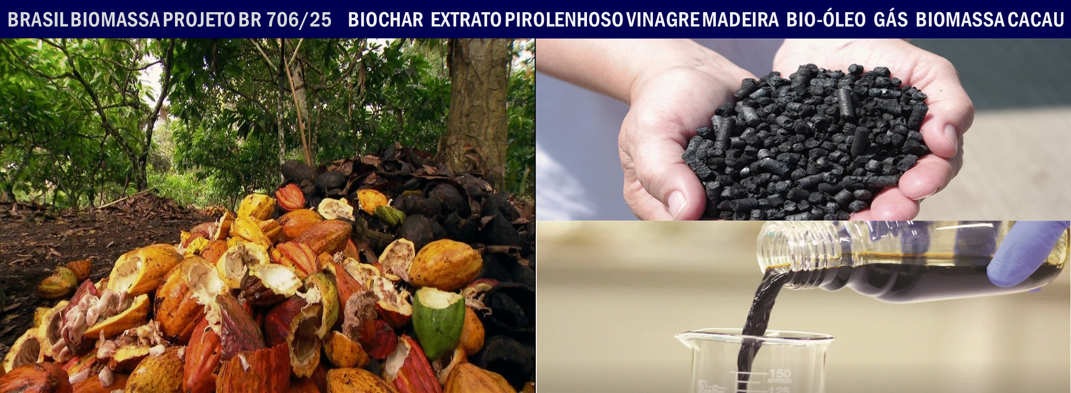 Biochar Cacau.gif