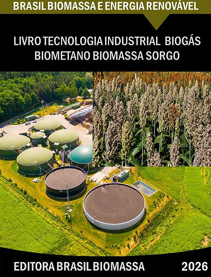 Livro Tecnologia Industrial Biogas Biometano Sorgo.jpg