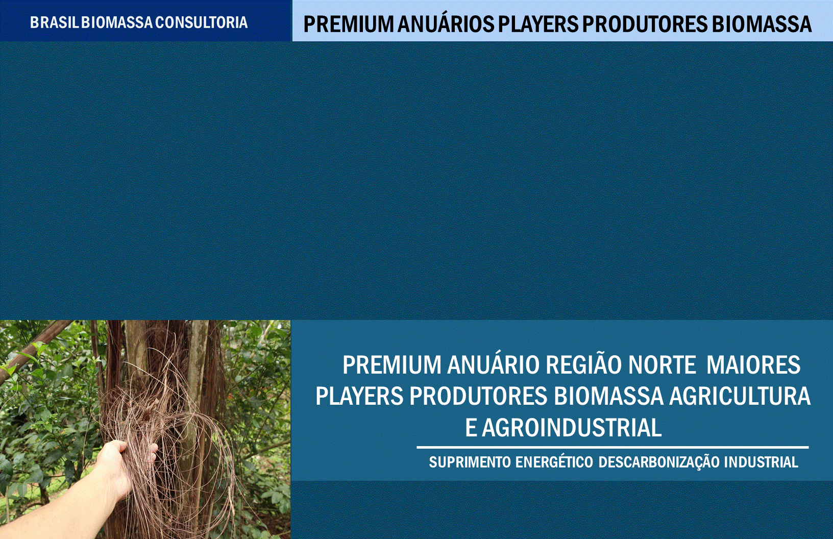Anuario Premium Players Produtores Biomassa Agroindustrial  Região Norte.gif