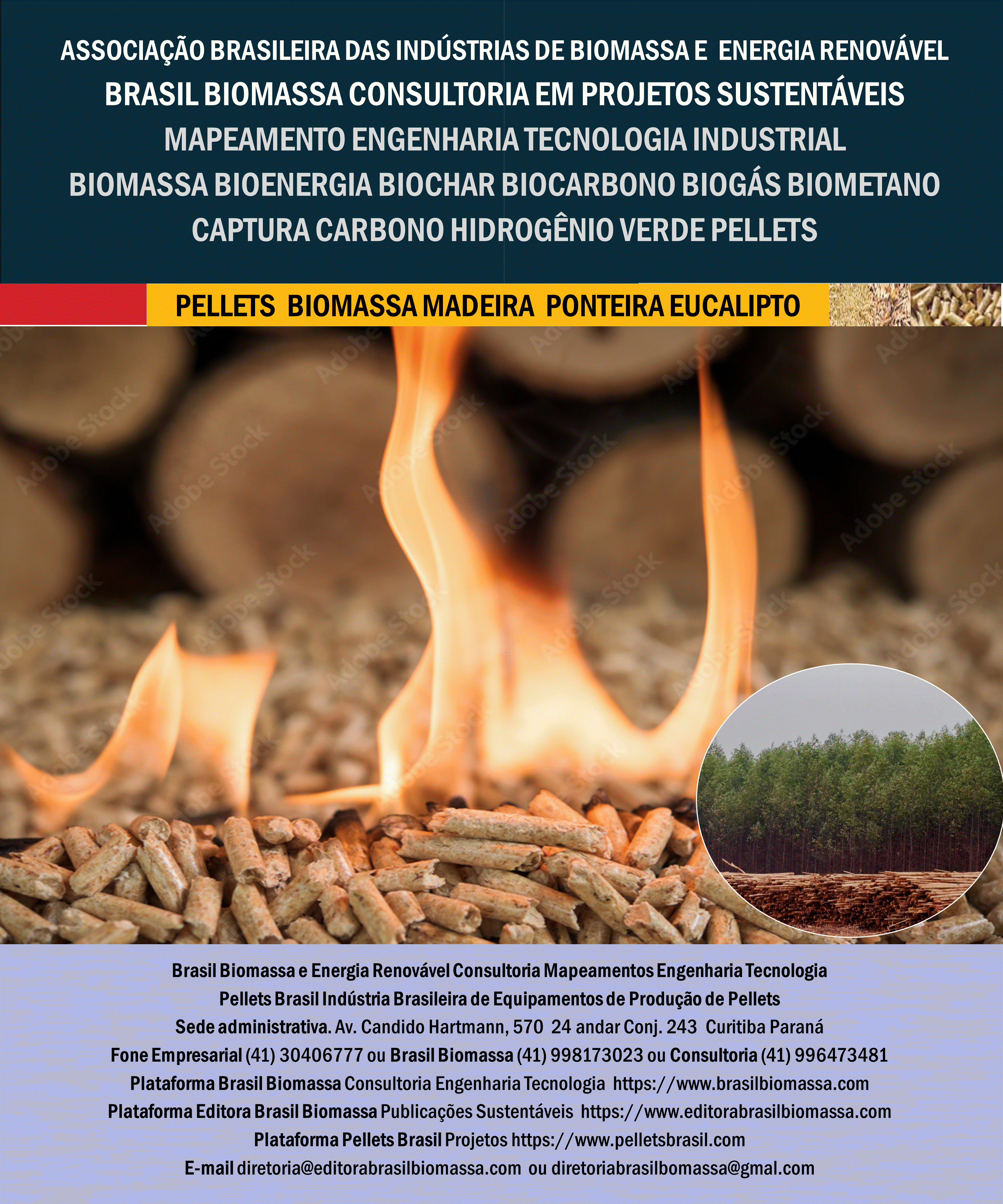Brasil Biomassa Pellets Madeira Ponteira Eucalipto.gif