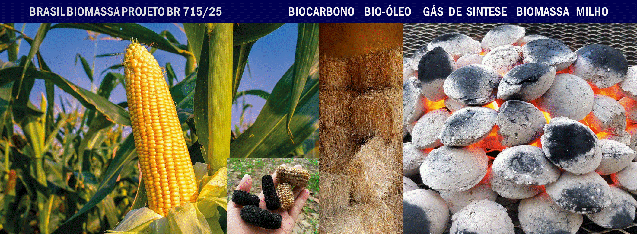 Slide13.GIF