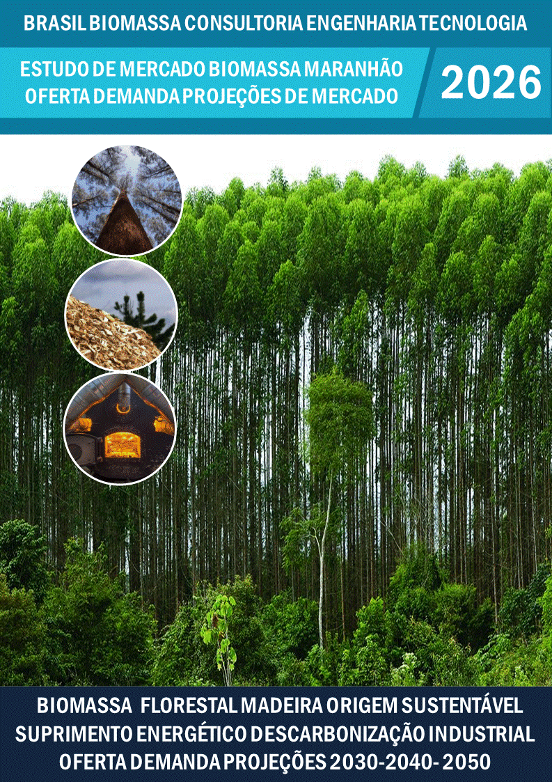 Estudo de Mercado Biomassa Florestal e da Madeira Oferta Demanda Nordeste Maranhão.gif