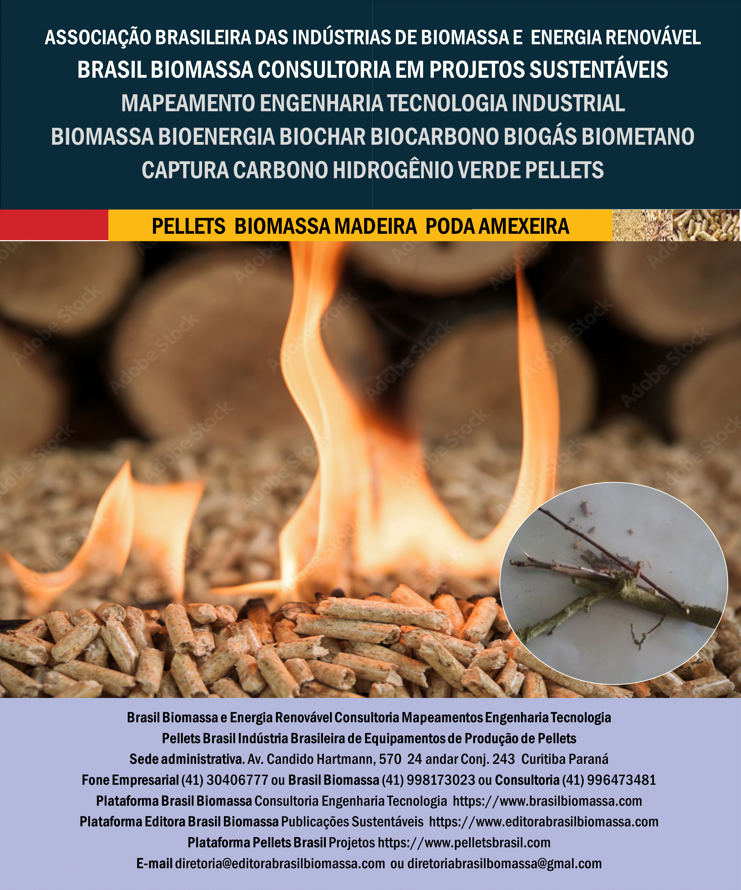 Brasil Biomassa Pellets Madeira Poda Amexeira.gif