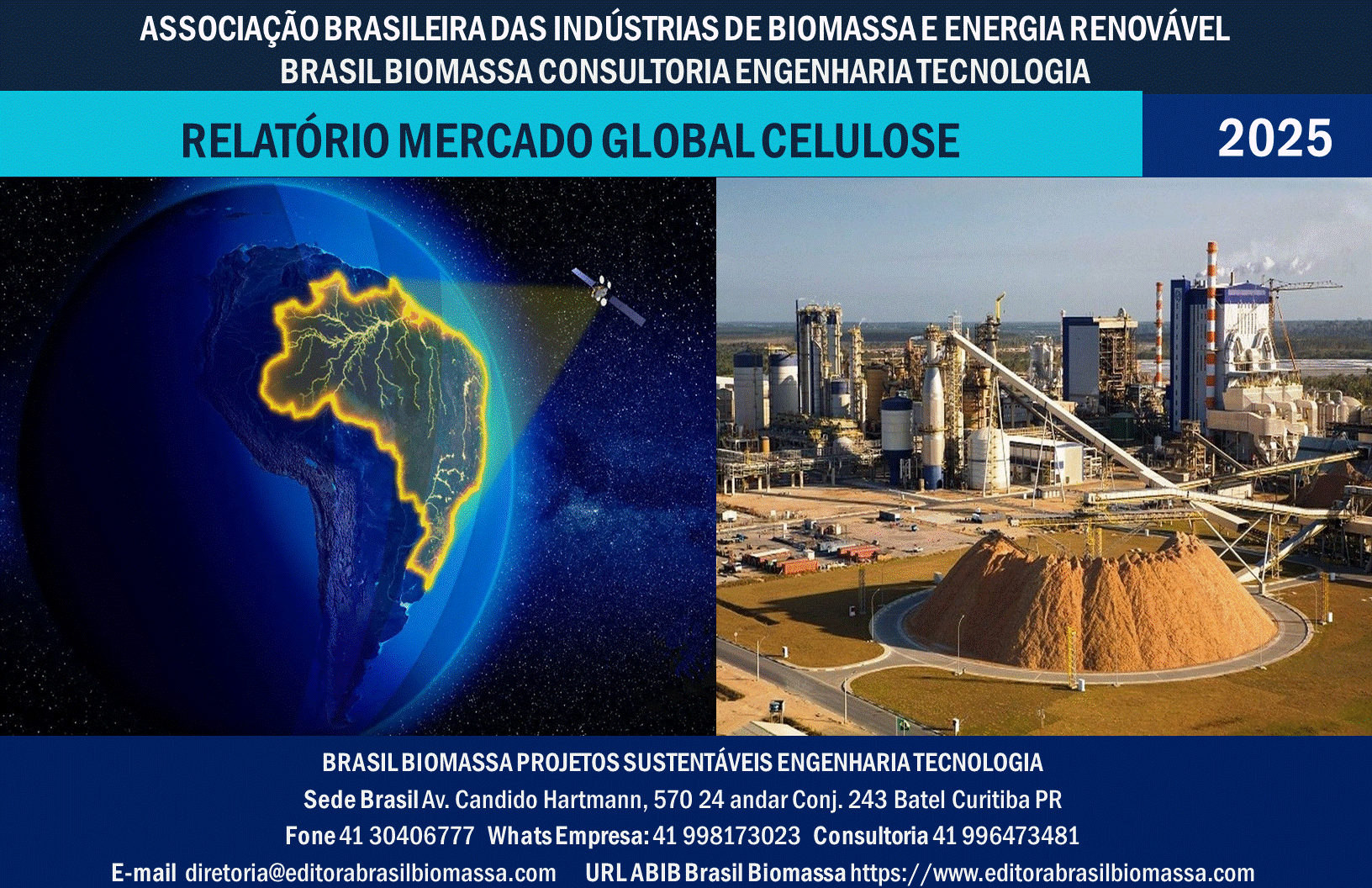 Relatório Mercado Global Celulose.gif