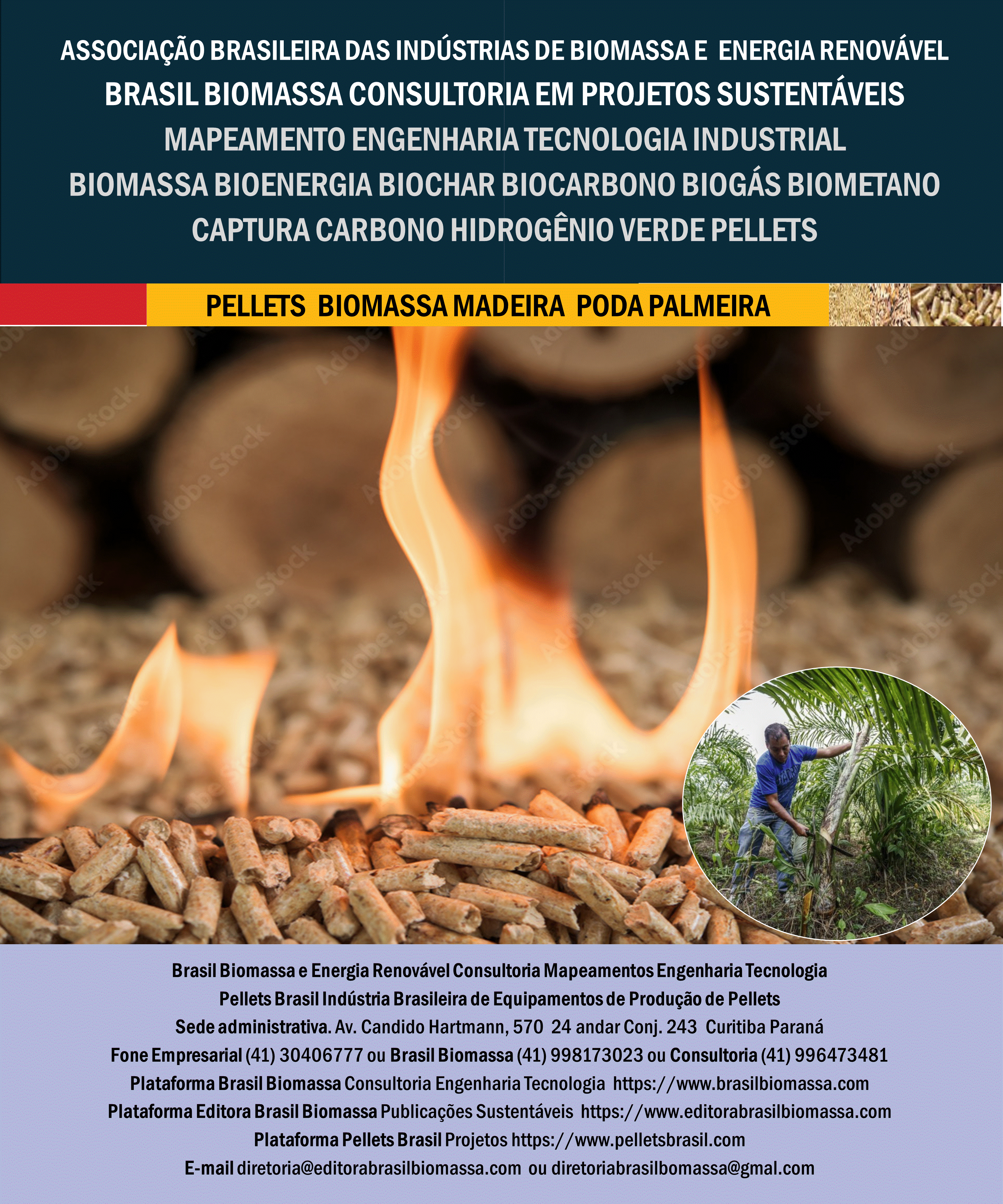 Brasil Biomassa Pellets Madeira Poda Palmeira.gif