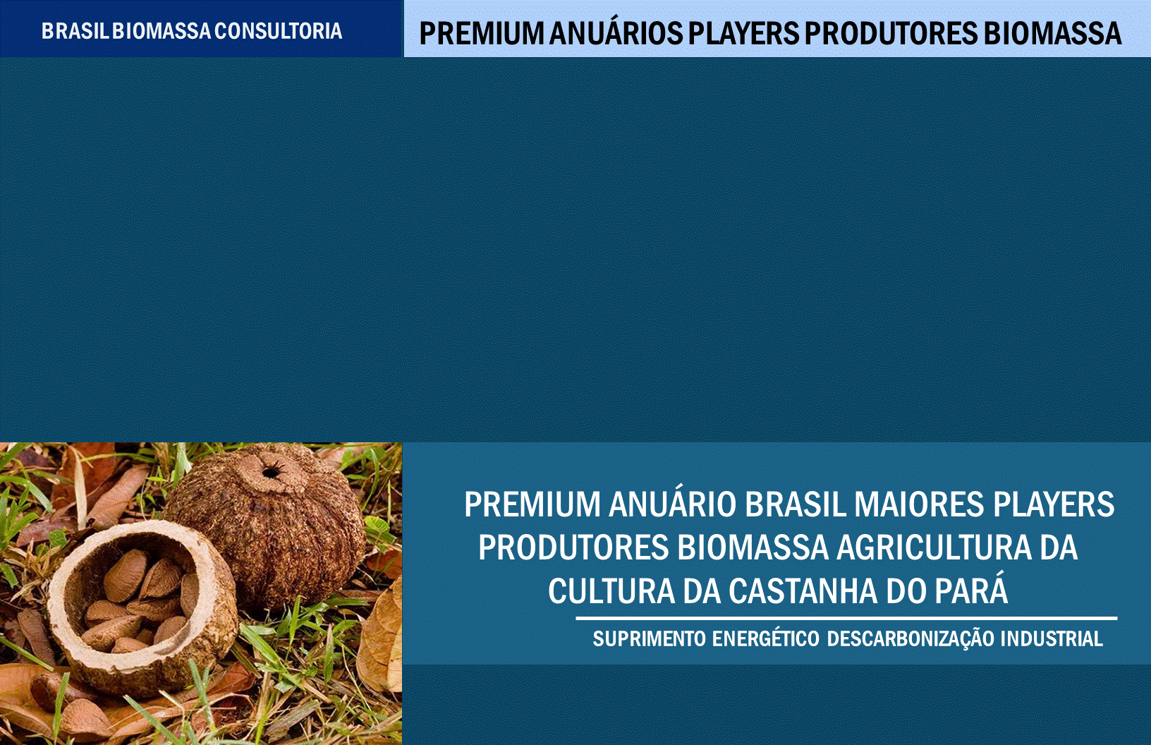 Anuario Premium Players Produtores Biomassa Agricultura Cultura da Castanha Para.gif