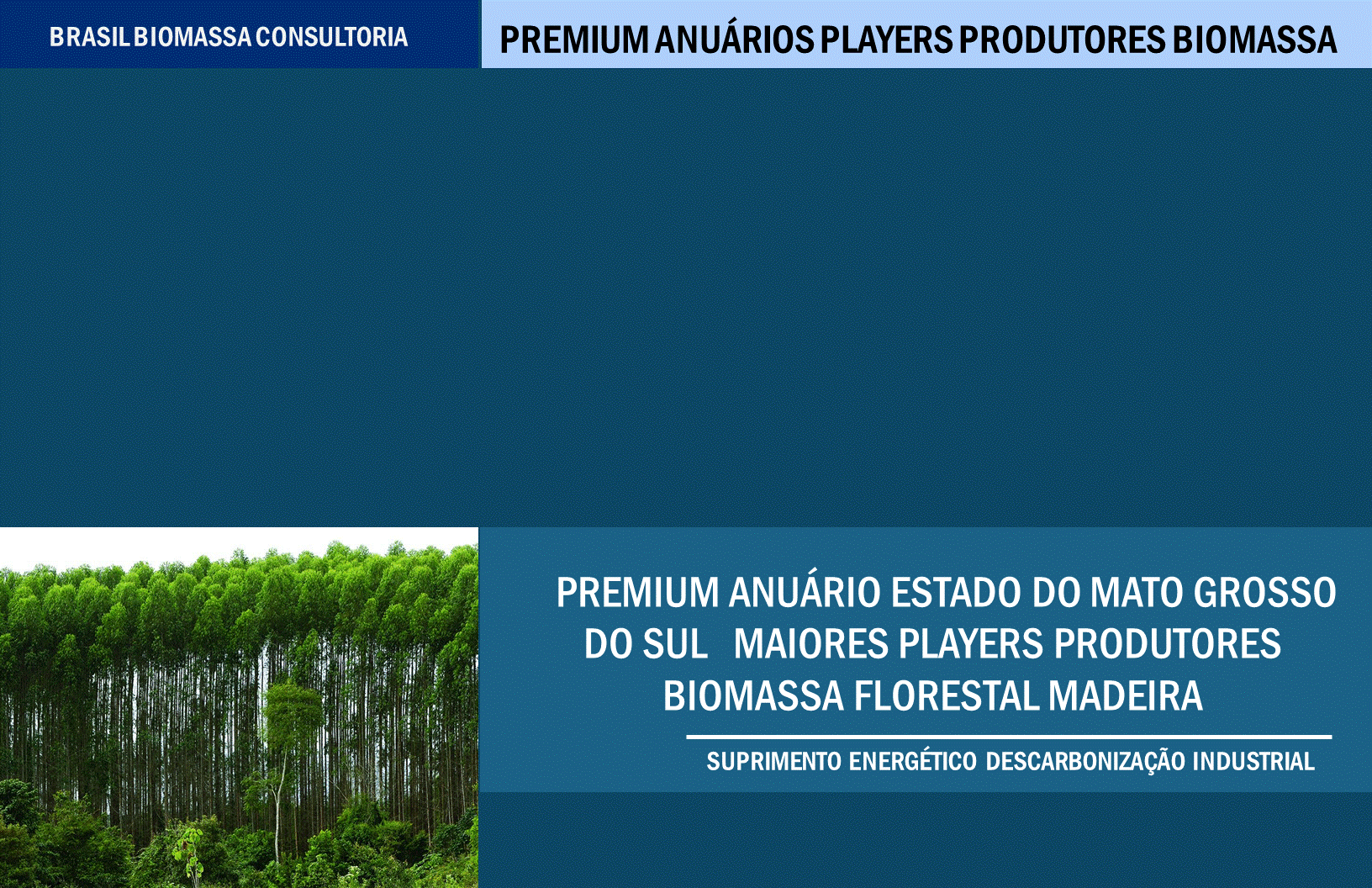 Anuario Premium Players Produtores Biomassa Mato Grosso Sul.gif