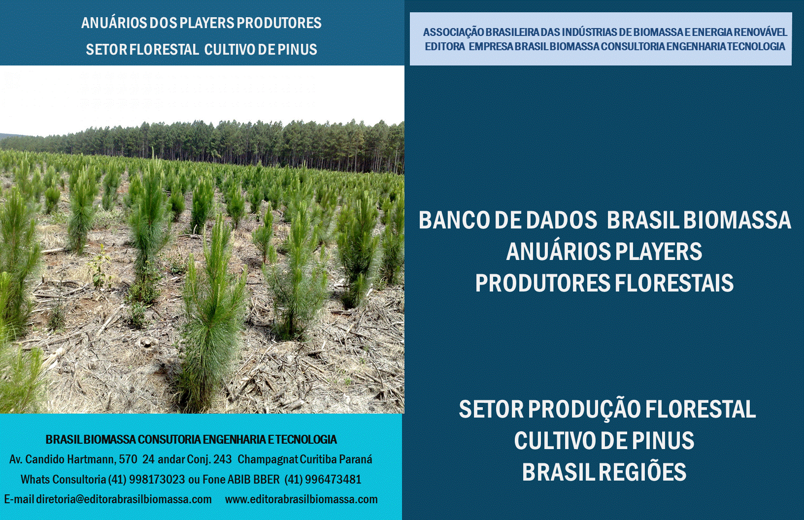 Anuarios Produtores Florestais Cultivo Pinus.gif