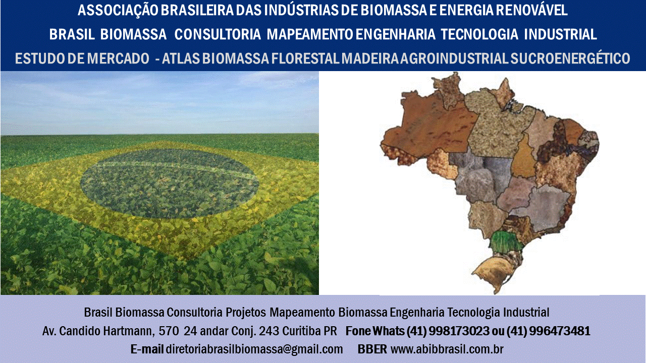 Estudo Mercado Biomassa Brasil.gif