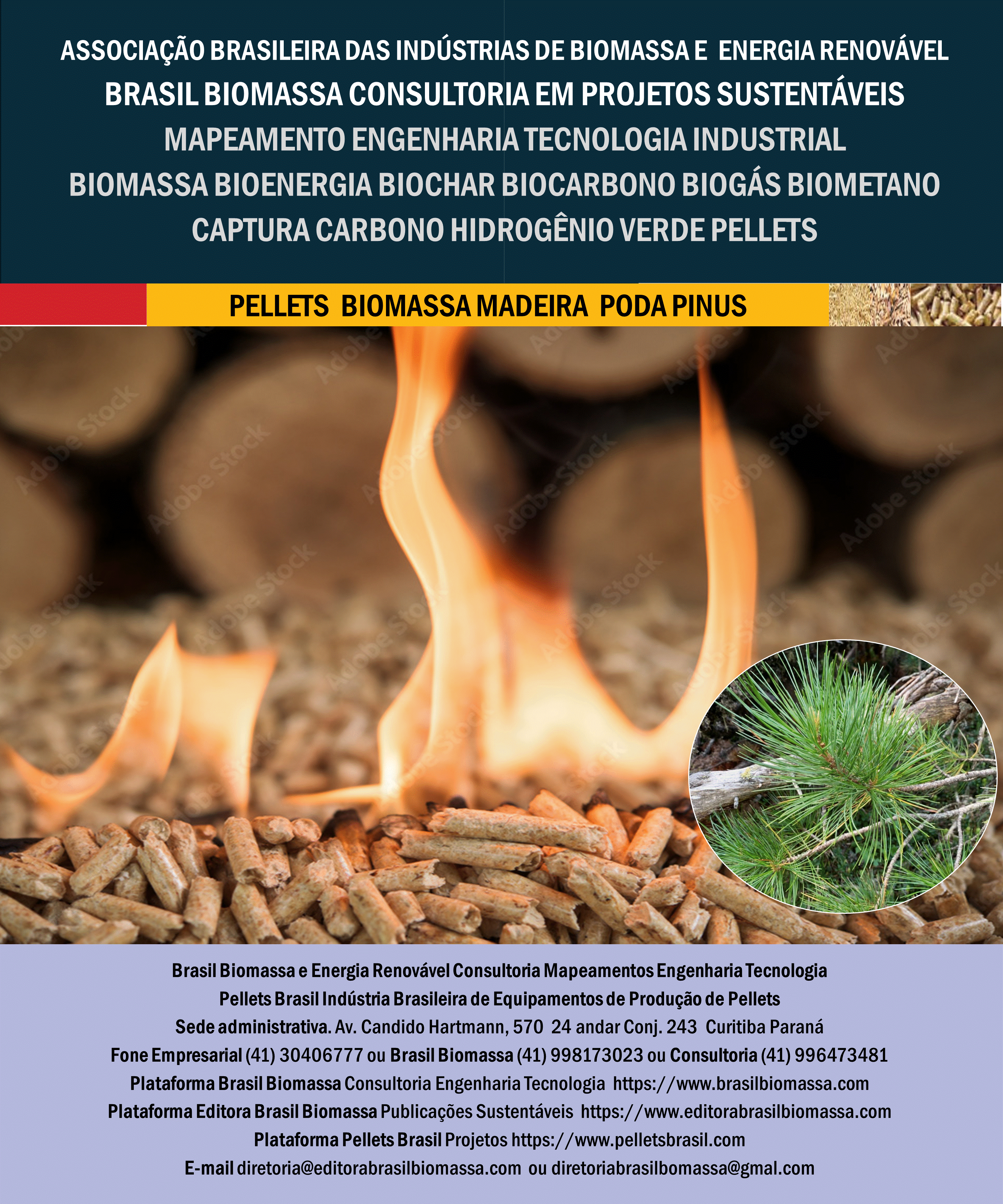 Brasil Biomassa Pellets Madeira Poda Pinus.gif