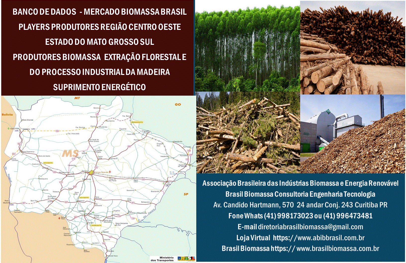 49  Banco Dados Players Produtores Biomassa Florestal Madeira Região Centro oeste Mato Gro