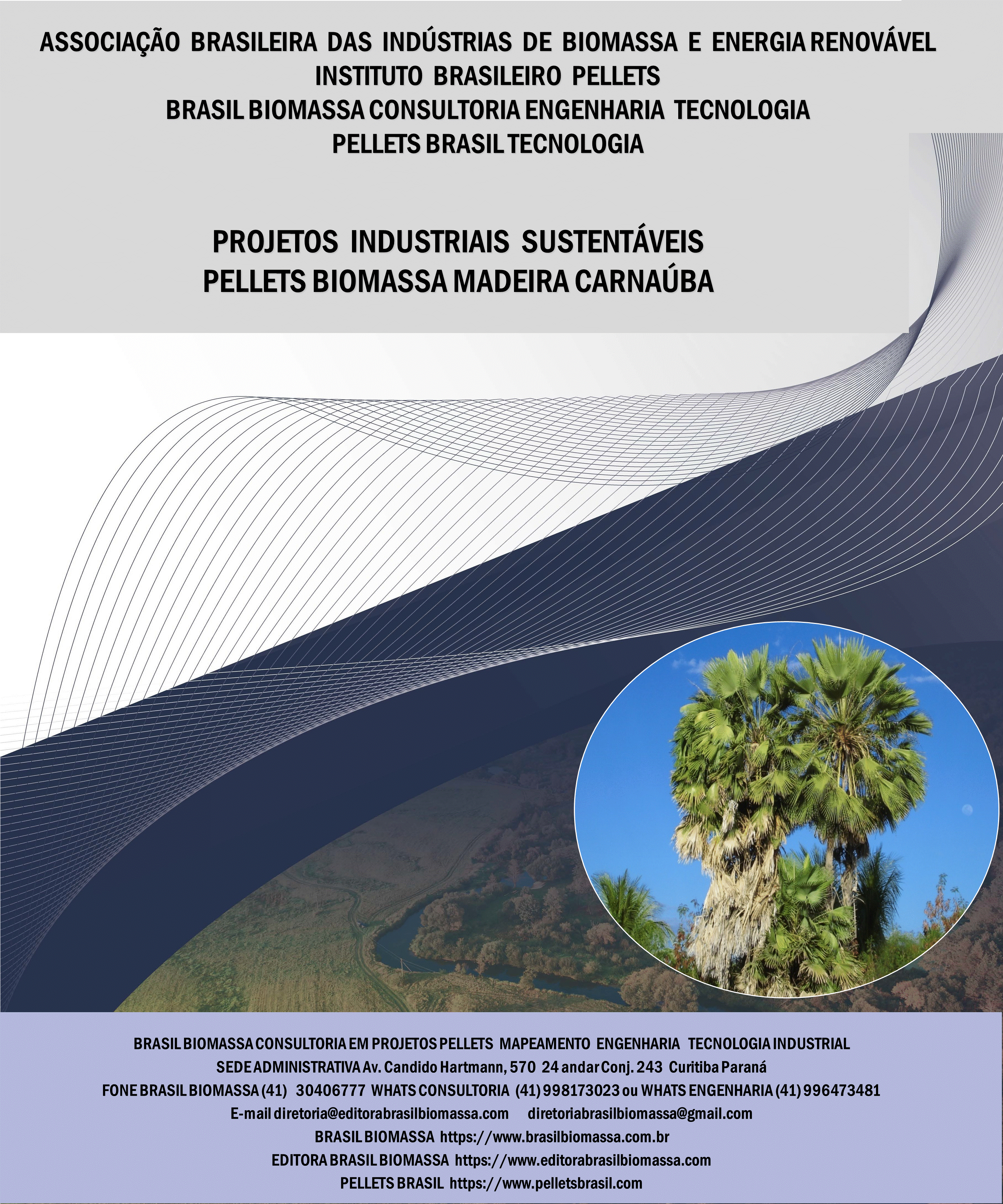 Brasil Biomassa Pellets Madeira Carnauba.gif