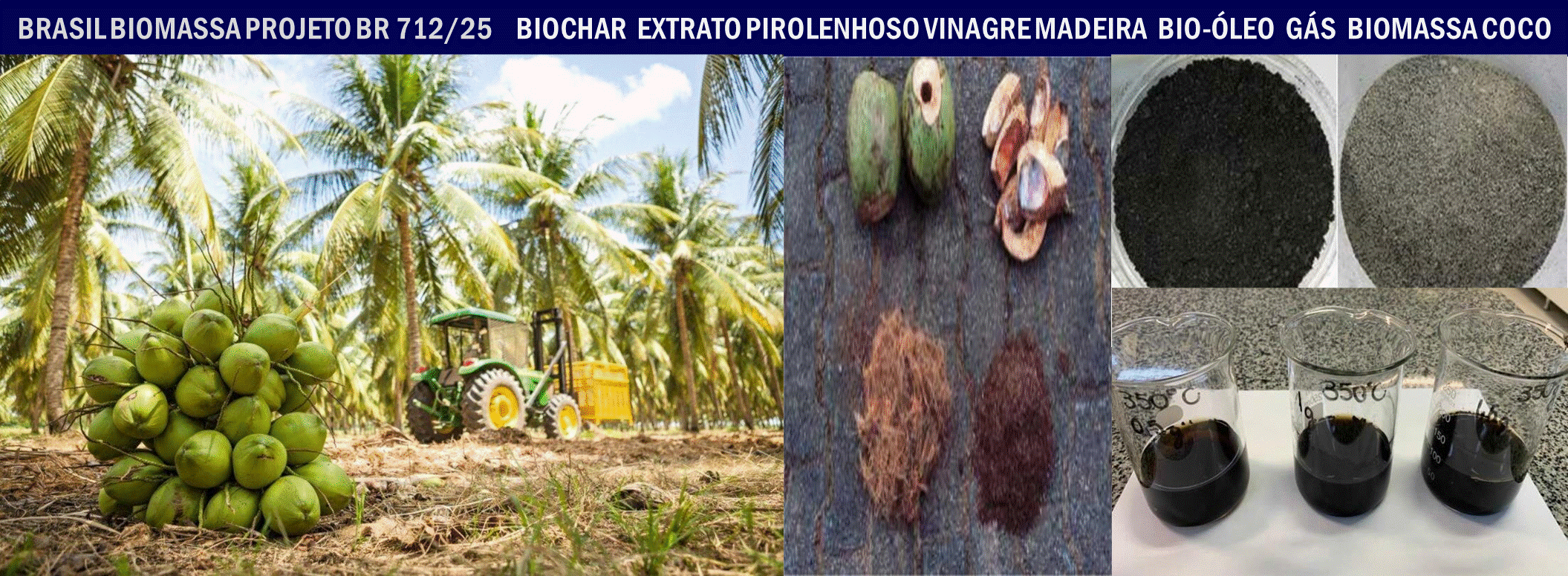 Biochar Coco.gif