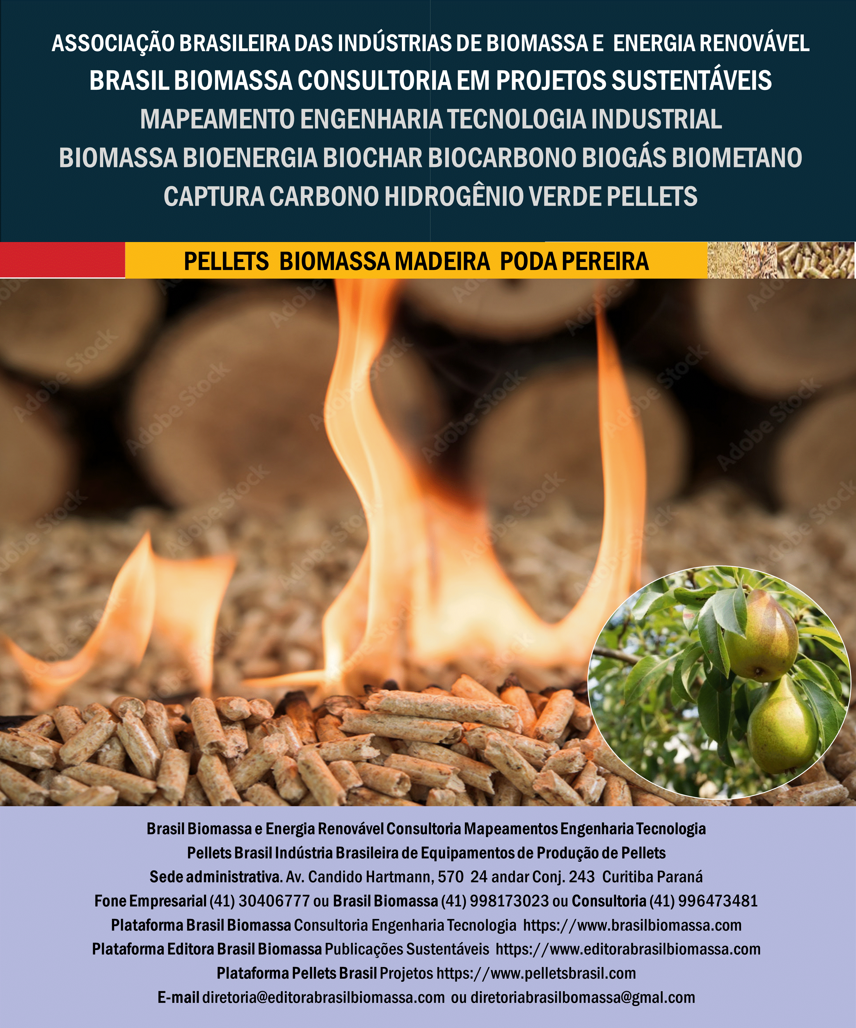 Brasil Biomassa Pellets Madeira Poda Pereira.gif